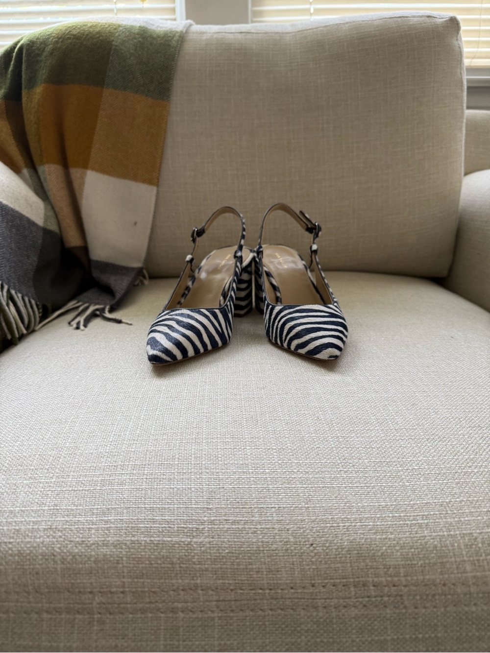 Ann Taylor Zebra Print Pointed Toe Slingback Pumps  Sz 8